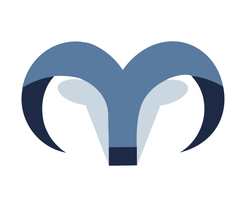logo bds